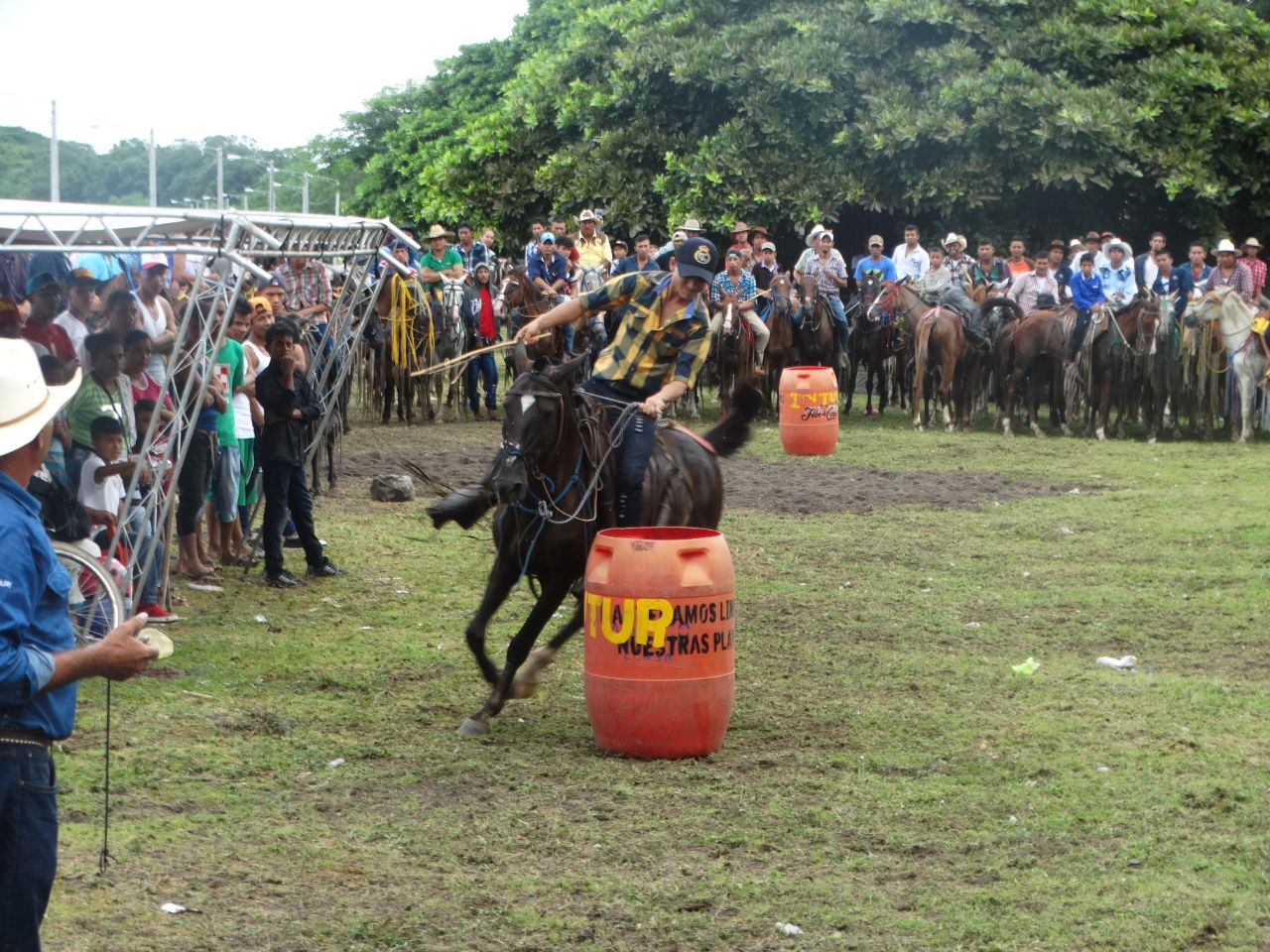 caballos